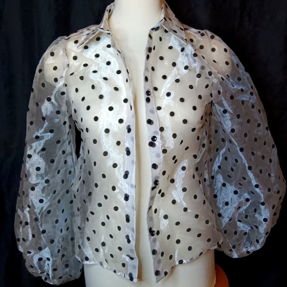 Bubble Sleeve Organza Button Up - Picture 1 of 4